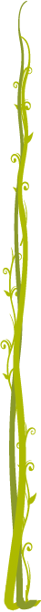 Vertical green vine graphic