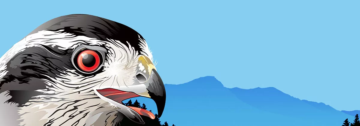 Alaska