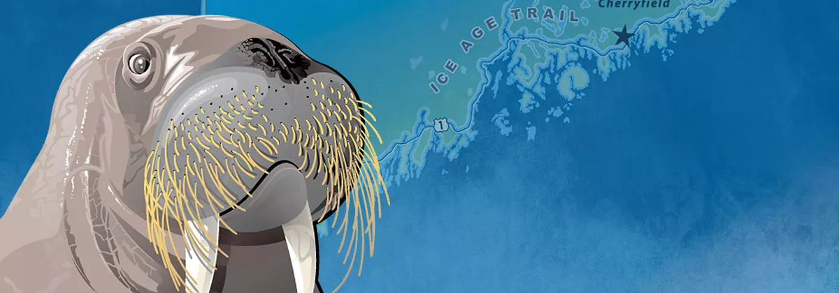 Alaska