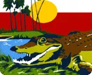 The Everglades