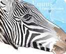 Idaho SuperGraphic