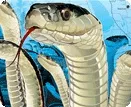 Reptile Ritual / Rituel des Reptiles - The Snakes of Narcisse