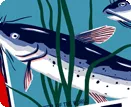 Belzoni, MS - Catfish capital of the world
