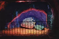 fluorescent display of rocks