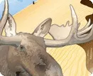 Saskatchewan SuperGraphic