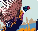 Big Stone City, SD - Pheasants, fish and power
