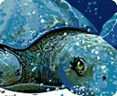 600 Feet Beneath the Waves of the Western Interior Seaway